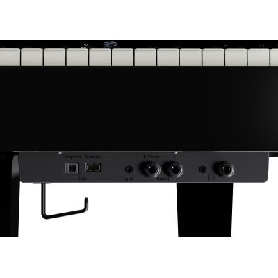 ROLAND GP-6 COLIN Negro Pulido