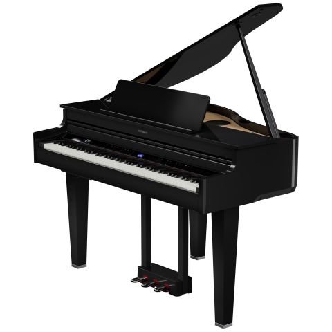 ROLAND GP-6 COLIN Negro Pulido