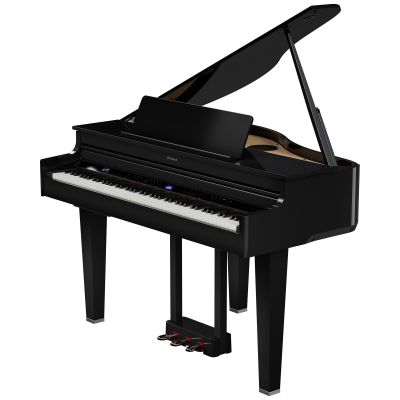 ROLAND GP-6 COLIN Negro Pulido