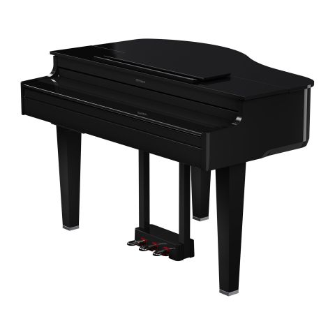 ROLAND GP-6 COLIN Negro Pulido
