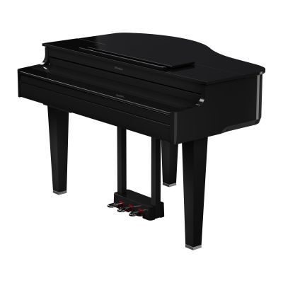 ROLAND GP-6 COLIN Negro Pulido