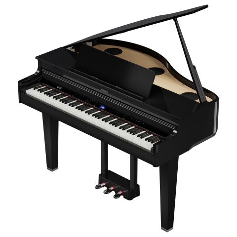 ROLAND GP-6 COLIN Negro Pulido