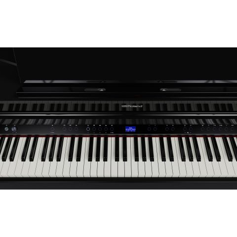ROLAND GP-6 COLIN Negro Pulido