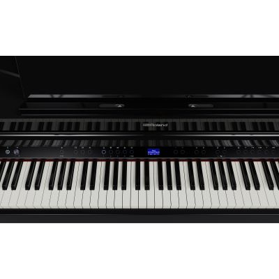 ROLAND GP-6 COLIN Negro Pulido