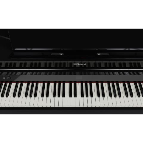 ROLAND GP-6 COLIN Negro Pulido