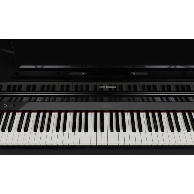 ROLAND GP-6 COLIN Negro Pulido