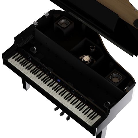 ROLAND GP-6 COLIN Negro Pulido