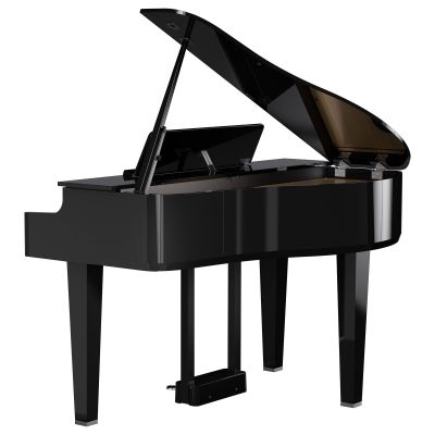 ROLAND GP-6 COLIN Negro Pulido