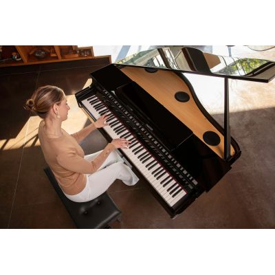 ROLAND GP-6 COLIN Negro Pulido