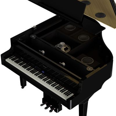 ROLAND GP-9 cola negro pulido