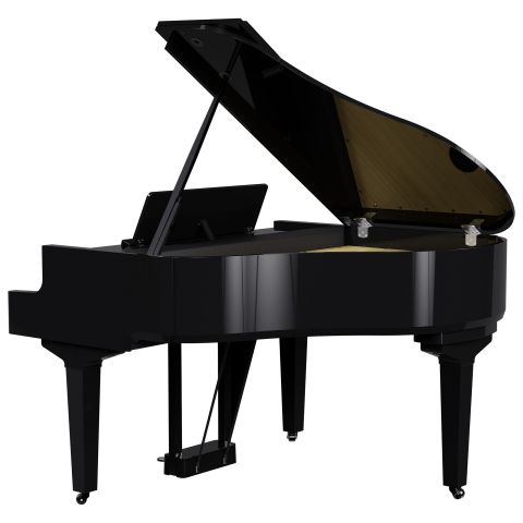 ROLAND GP-9 cola negro pulido
