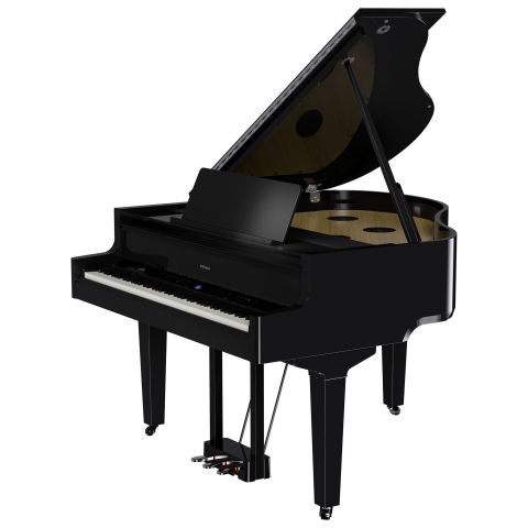 ROLAND GP-9 cola negro pulido
