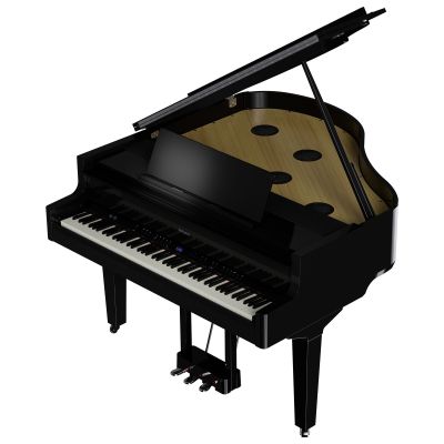 ROLAND GP-9 cola negro pulido