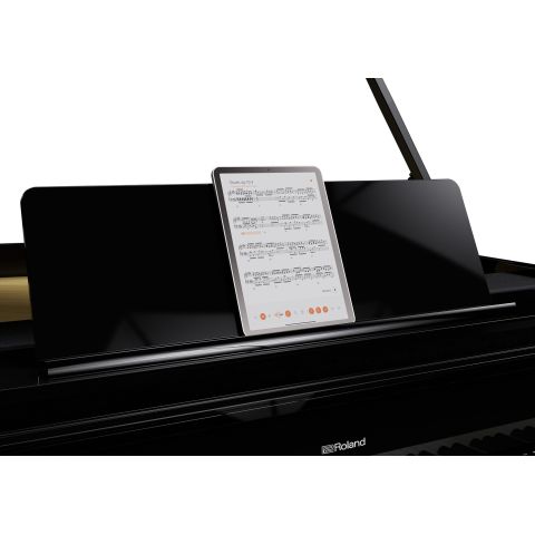 ROLAND GP-9 cola negro pulido