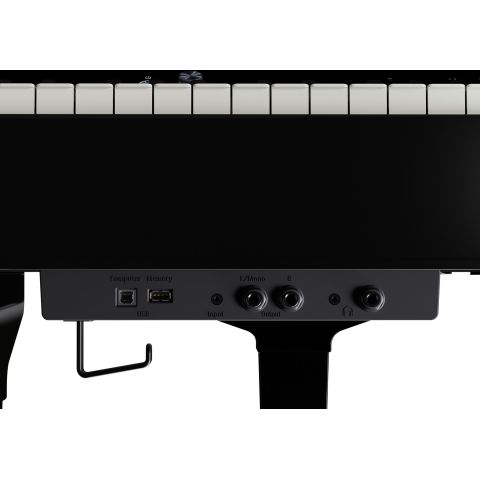 ROLAND GP-9 cola negro pulido