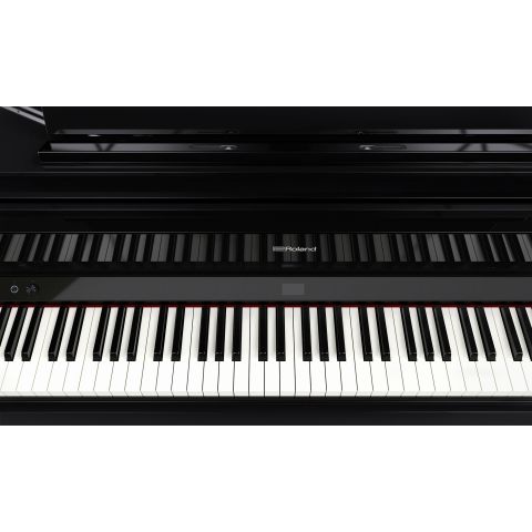 ROLAND GP-9 cola negro pulido