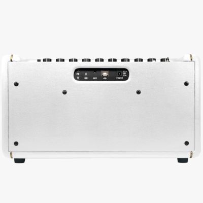 SPARK 40 PEARL AMPLIFICADOR + FUNDA