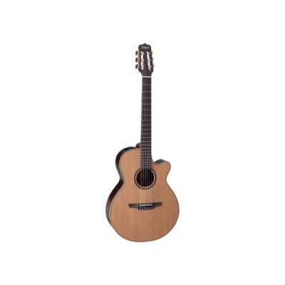 FX NATURAL E/A CUTAWAY D65C