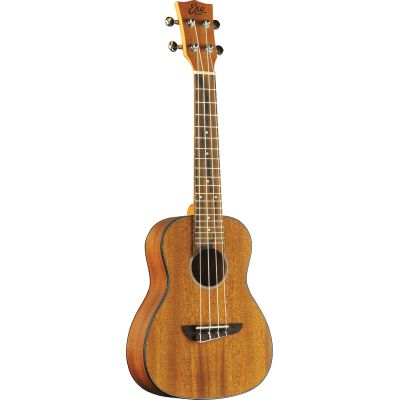 UKELELE DUO CONCERTO