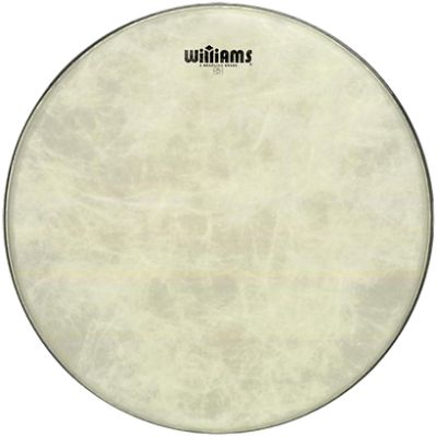 Williams WVT1-22 Vintage Tone Series 22"