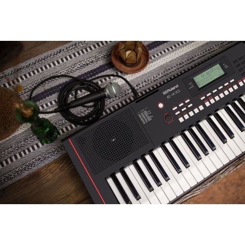 ROLAND E-X10