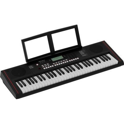 ROLAND E-X10