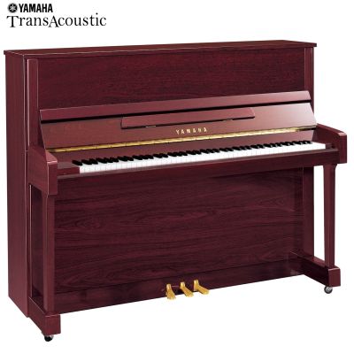 Yamaha B3E Tradicional TransAcoustic Caoba Pulido