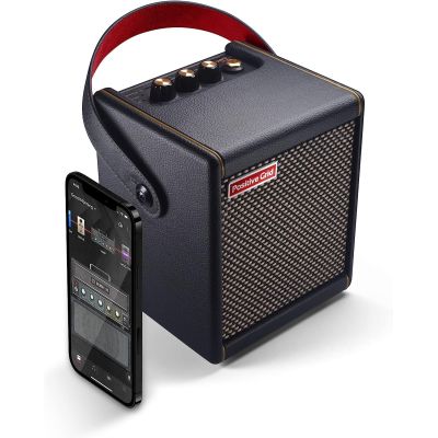 Positive Grid Spark MINI