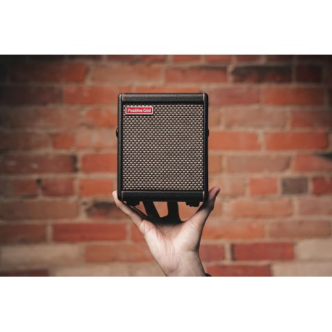 Positive Grid Spark MINI