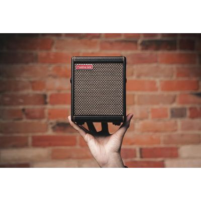 Positive Grid Spark MINI