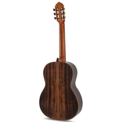 Manuel Rodríguez Superior B Eucalipto Abeto Guitarra Clásica 2