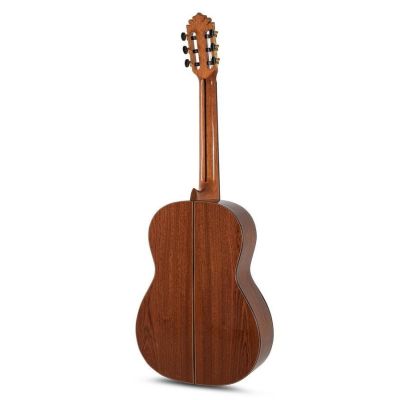 Manuel Rodríguez Magistral D Caoba Natura Guitarra Clásica 2