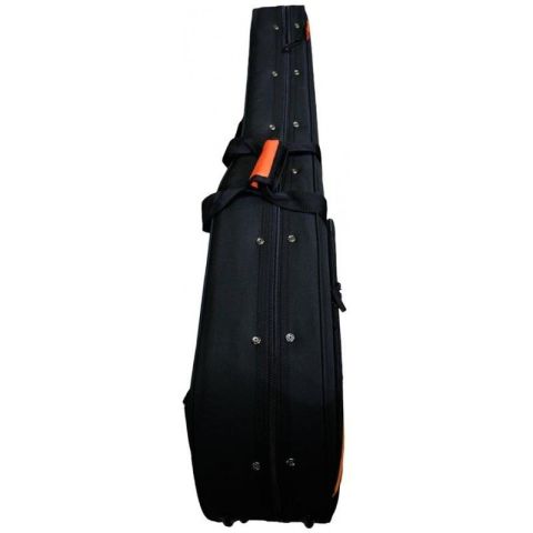Ashton ARM2400C Estuche Foam Guitarra...