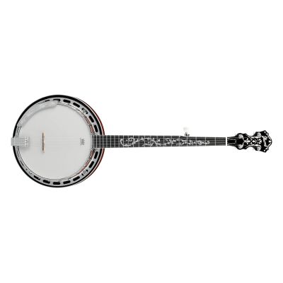 Ibanez B200 Banjo 5 Cuerdas Natural Brillante