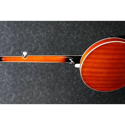 Ibanez B200 Banjo 5 Cuerdas Natural...
