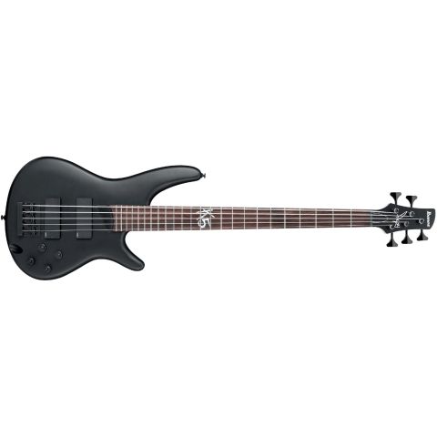 Ibanez K5 Signature Korg 5 Cuerdas...