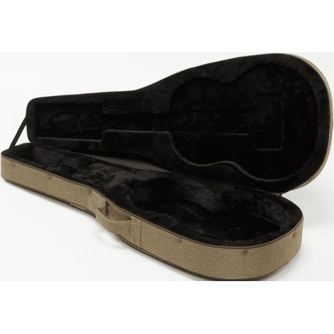 Ibanez FS40CL Estuche Guitarra...