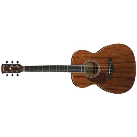 Ibanez Artwood AC340L Guitarra...