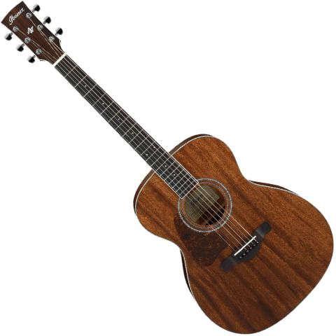 Ibanez Artwood AC340L Guitarra...