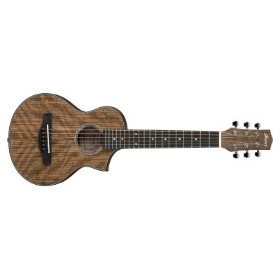 Ibanez EWP14WB Guitarra Acústica Opn