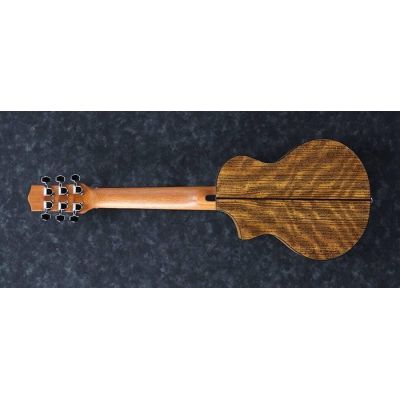 Ibanez EWP14WB Guitarra Acústica Opn 2