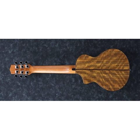 Ibanez EWP14WB Guitarra Acústica Opn