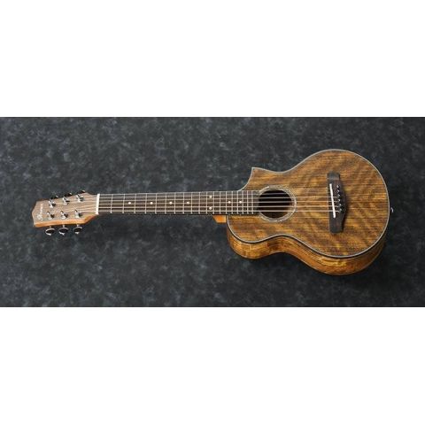 Ibanez EWP14WB Guitarra Acústica Opn