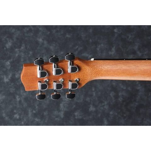 Ibanez EWP14WB Guitarra Acústica Opn