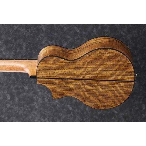 Ibanez EWP14WB Guitarra Acústica Opn
