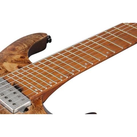 Ibanez QX527PB 7 Cuerdas ABS Guitarra...