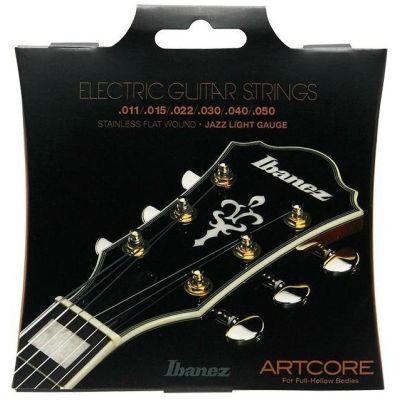 Ibanez IFAS6SL Artcore Cuerdas Guitarra Eléctrica 11-50