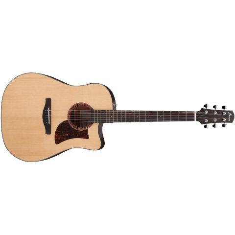 Ibanez AAD170CELGS Guitarra...