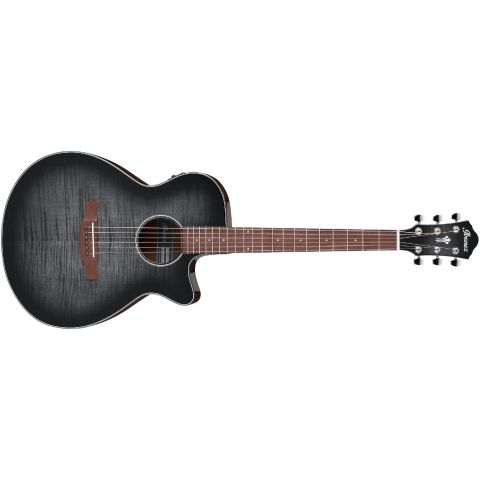 Ibanez AEG70TCH Guitarra...