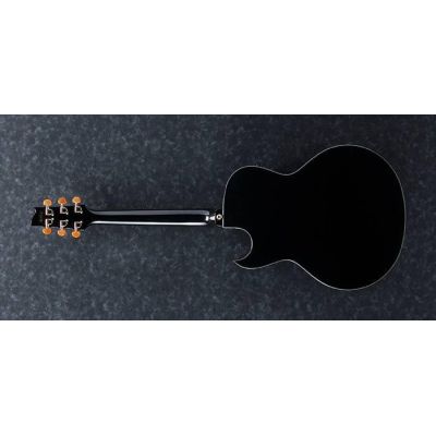 Ibanez EP5 Steve Vai Guitarra Electroacústica Bp 2